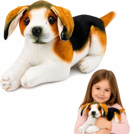 Pliušinis biglio šuniukas 25 cm