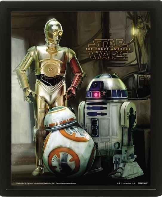 3D paveikslas STAR WARS: Droids