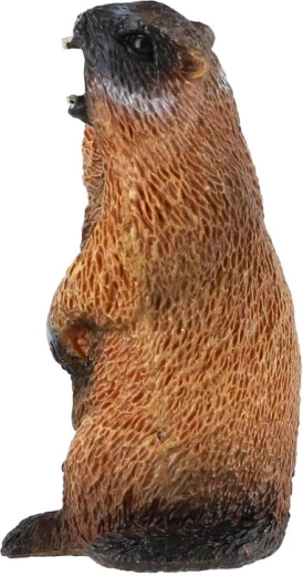 Kompaktiškas dydis