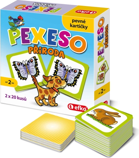 Efko baby memory game – means of transport