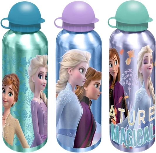 Mėgstamas Disney Frozen dizainas