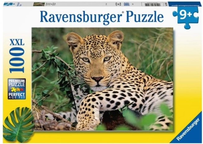 Dėlionė RAVENSBURGER leopardas – 100 dalių