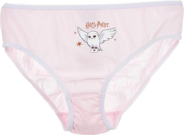 Licencijuotas Harry Potter motyvas