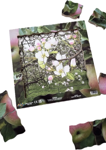 Real photographs of nature