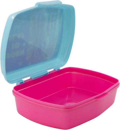 Safe BPA-free material