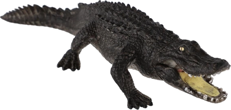 Learning about an endangered species