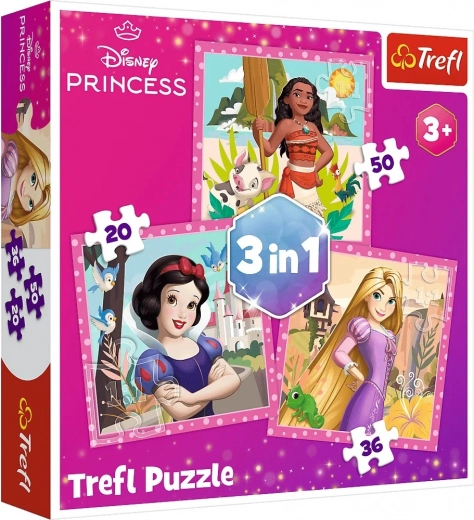 Dėlionė 3 viename – gražios gėlės – DISNEY PRINCESS Trefl
