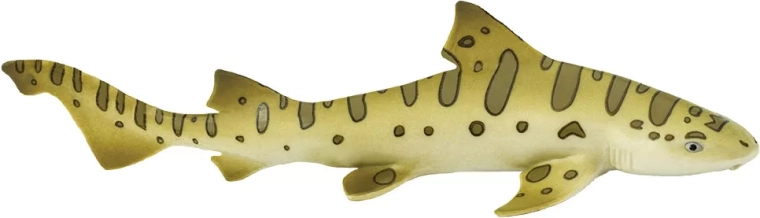 Safari Ltd. leopardinis ryklys - 1 vnt.