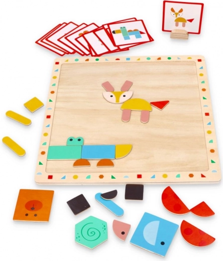 Lavinamosios kortelės ir magnetinės formos