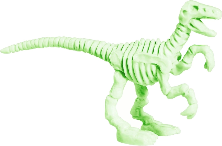 Glows in the dark
