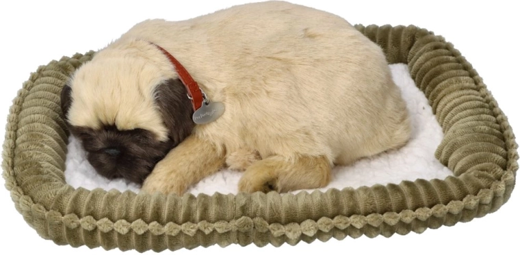 Perfect Petzzz kvėpuojantis mopsų šuniukas
