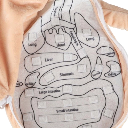 Užtrauktuku atsegamas pilvukas su aiškiu išdėstymu