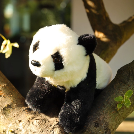 Adorable Cuddly Panda