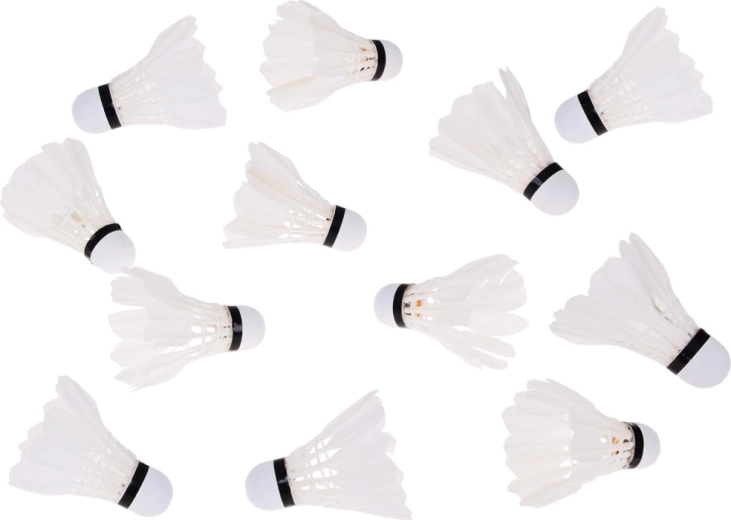 Pack of 12 for training and leisure