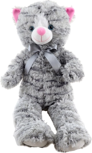 Mielos detalės ir kaspinėlis