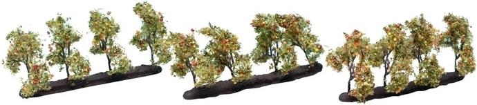 Noch obelis su vaisiais 3,5 cm (12 vnt.)