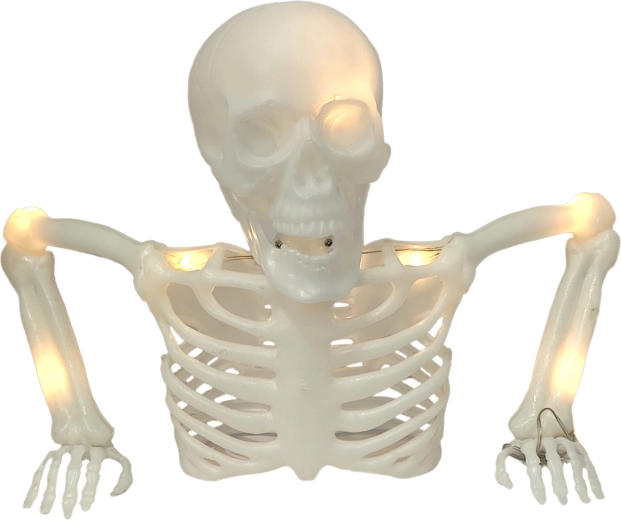 Tabletop Skeleton 40 cm
