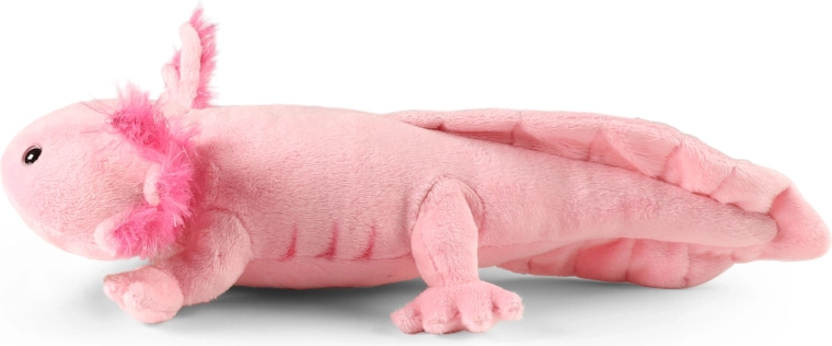 34 cm dydis mažiems ir dideliems mylimukams