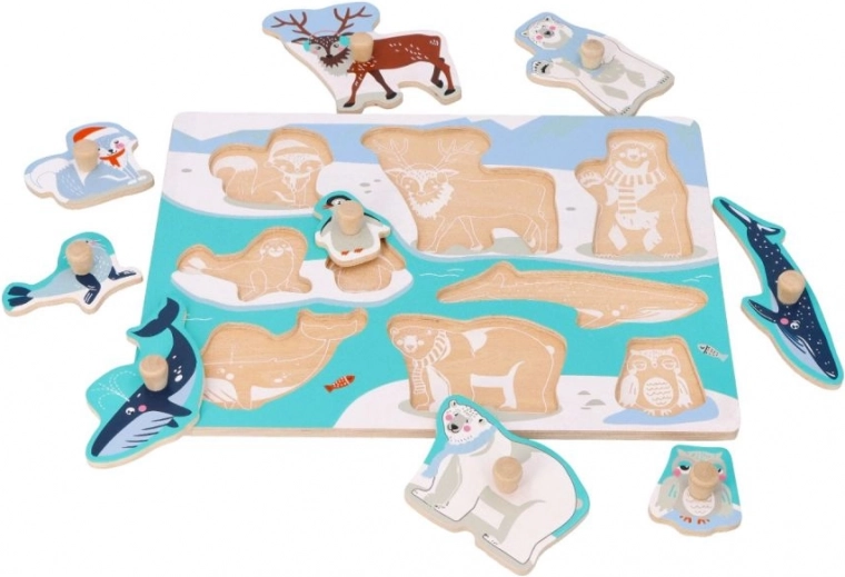 Mokymasis per žaidimą: Arkties gyvūnai