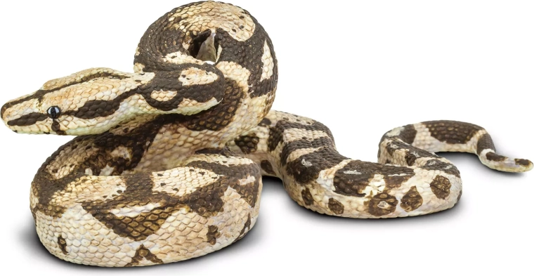 Boa Constrictor Safari Ltd. - 1 piece