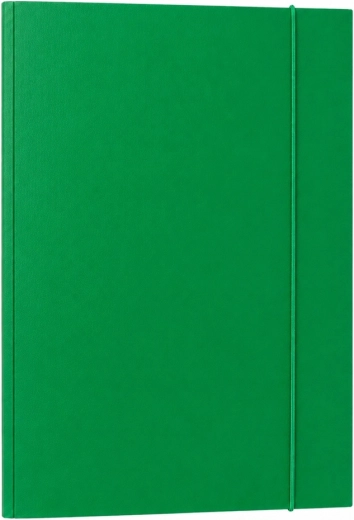 Tvirtas lakuotas kartonas 300 g/m2