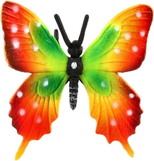 Strikingly colorful wings