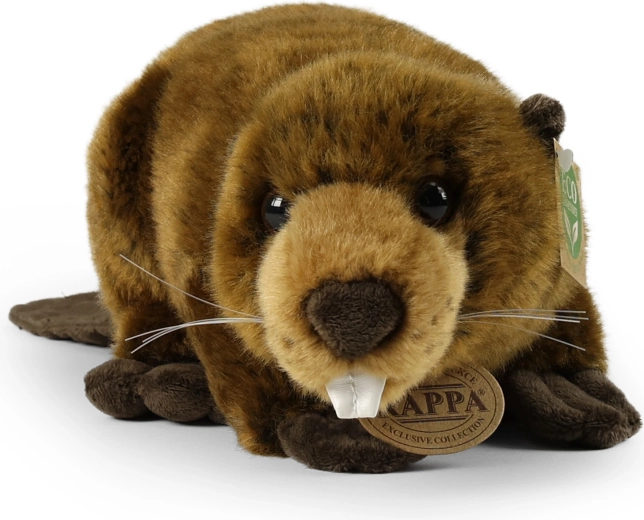 Draugiškas aplinkai užpildas iš perdirbtų PET butelių