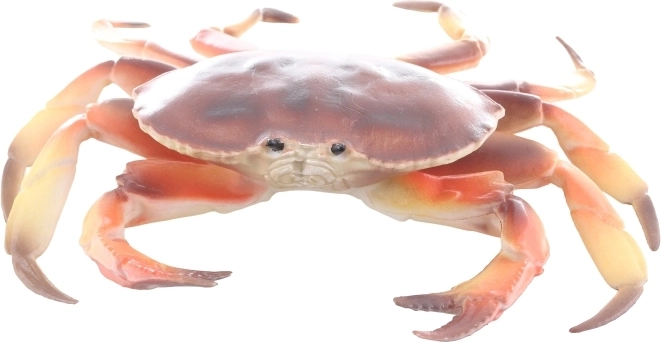 Kompaktiški matmenys ir lengvas laikymas