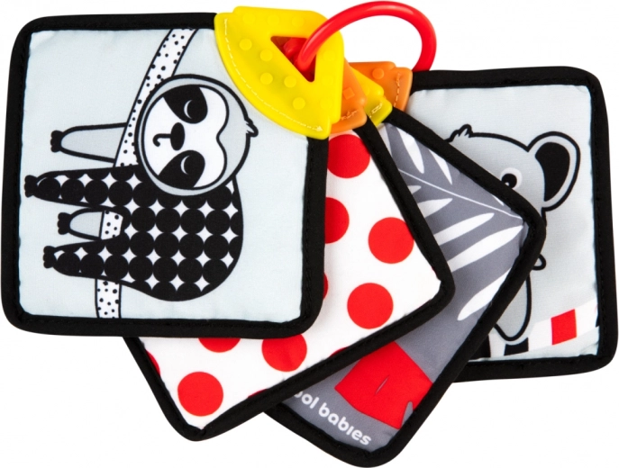 Sensory fabric flashcards with teether CANPOL babies BabiesBoo