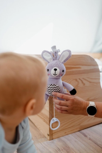 Raminanti muzika vienu patraukimu