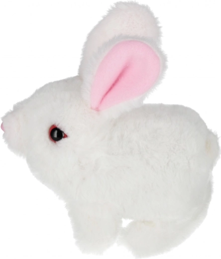 Pasirinkimas iš trijų spalvų