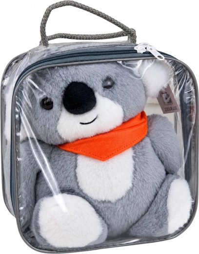 Practical bag for carrying and storage