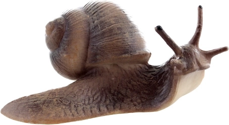 Plastinis realistiškas sraigė – dekoratyvinis ir edukacinis modelis