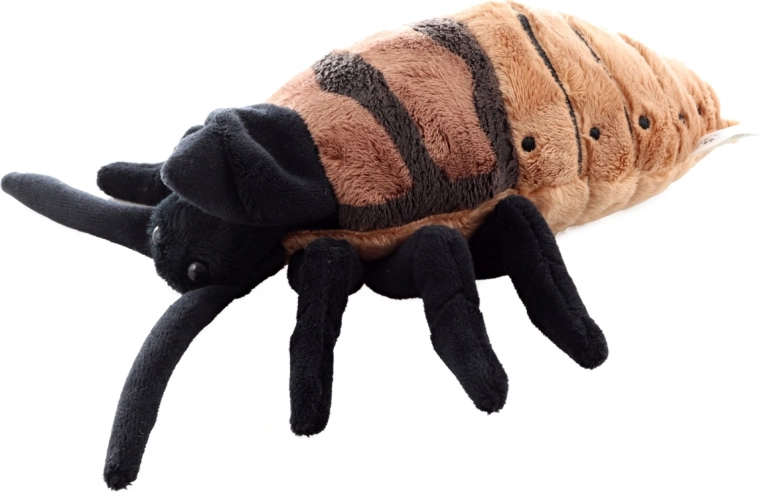 Idealiausias dydis 20 cm