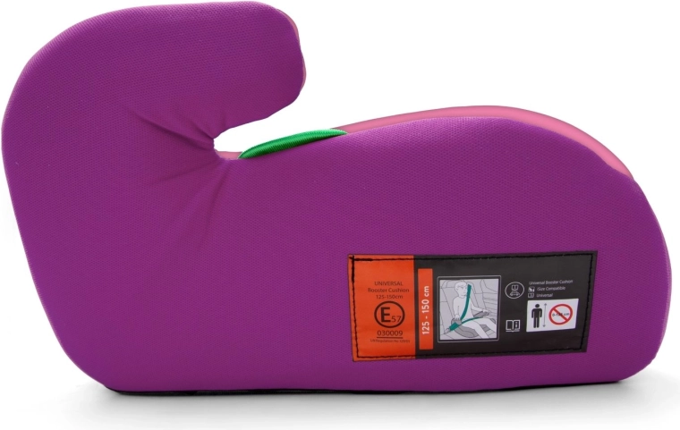 Saugos standartas ECE R129.03