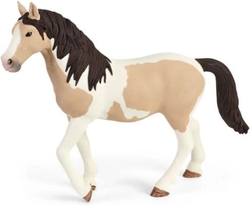 Pinto mare and animals for storytelling