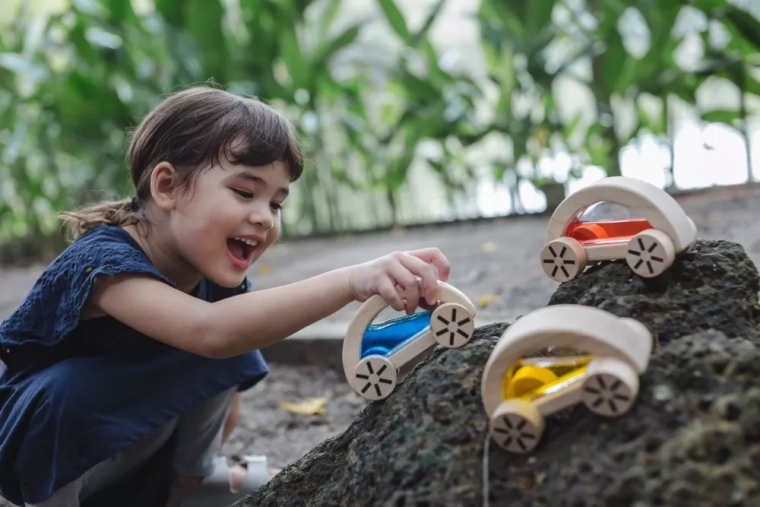 Tvarus ekologiškas PlanToys žaislas