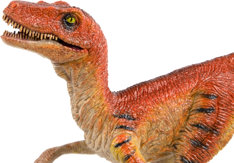 Detailed realistic features