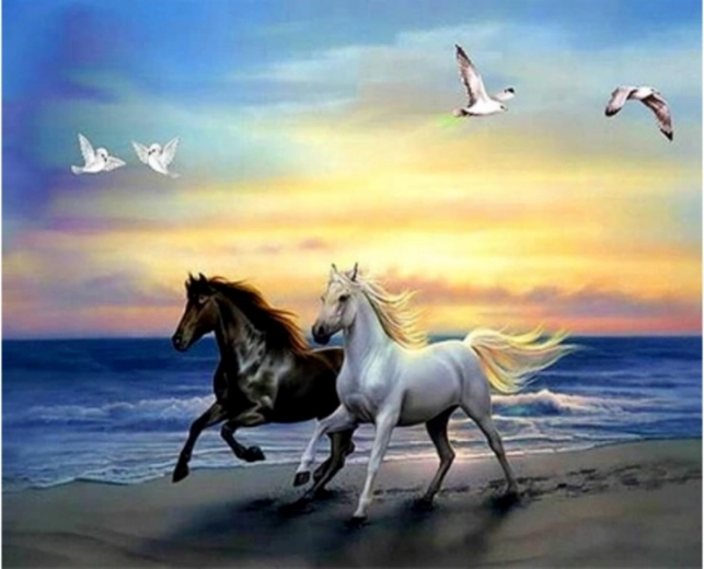 Diamond painting – two horses, white and black, 30 × 30 cm - 1 piece