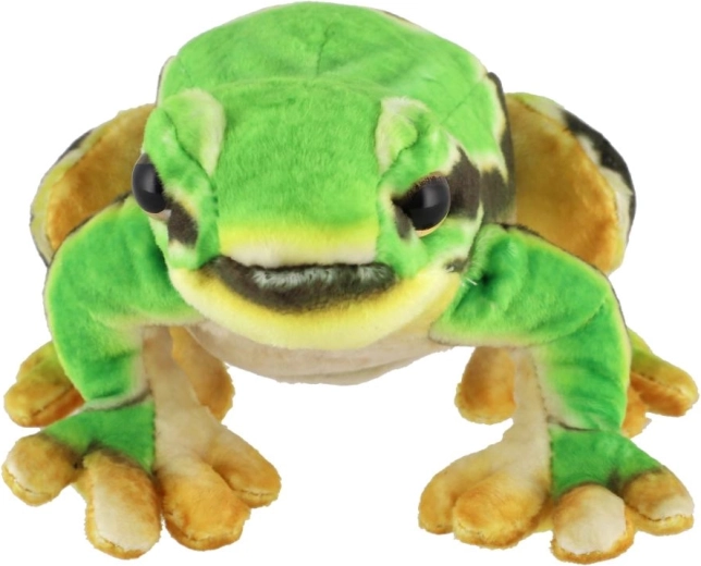 Tinka nuo gimimo