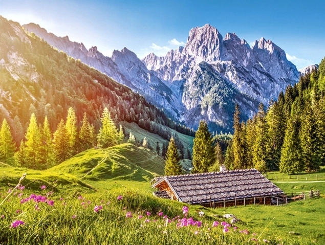 Puzzle 500 pieces – Summer in the Alps CASTORLAND