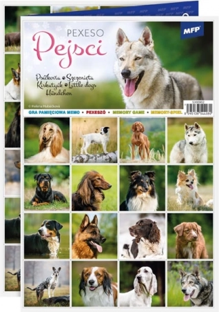 Pexeso vaikams „Šuniukai“ 3xA4