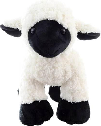 Idealiai tinka glostymui