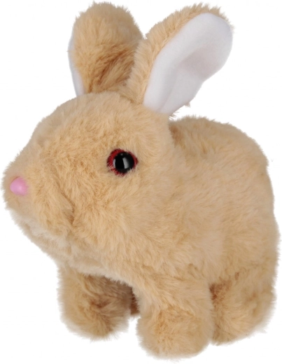 Mieli judesiai ir garsai