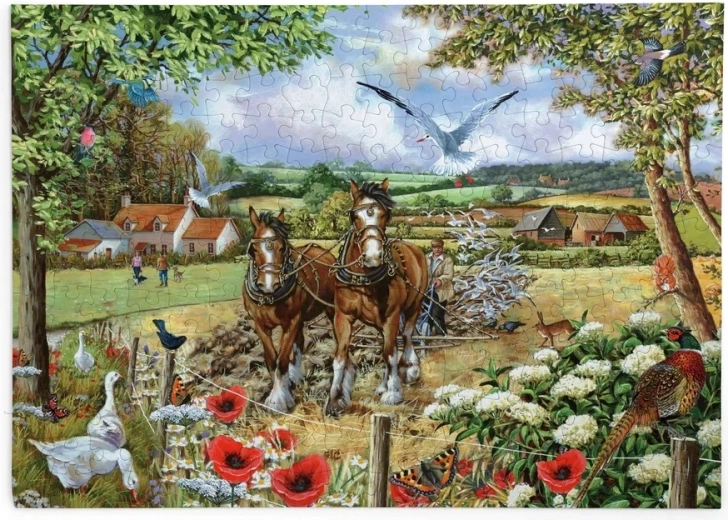 House of Puzzles Bonnie and Clyde, Horse Companions Puzzle, 250 Large Pieces