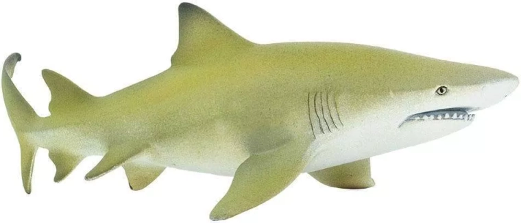 Lemon shark figure Safari Ltd.