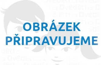 Medinė dėlionė Šuo 500 dalių