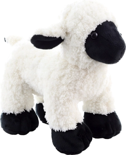 Ekologiškos medžiagos