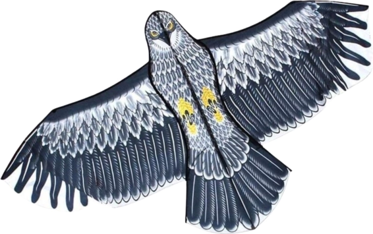 Stabilus skrydis net pradedantiesiems