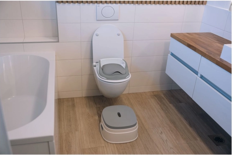 Adapter for a standard toilet